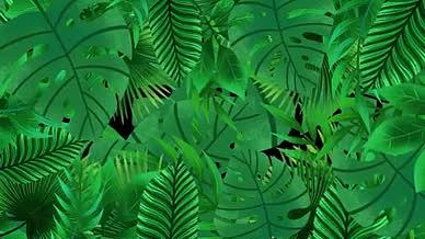 热带绿色棕叶边框带透明通道视频模板视频的预览图